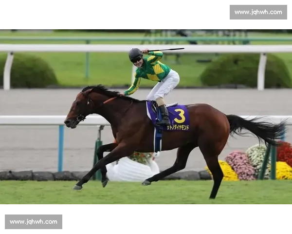 刚劲力登顶菊花赏!李慕华铸就三连冠传奇 刚劲力登顶菊花赏!李慕华铸就三连冠传奇